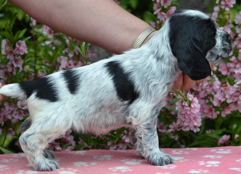 25 - Lady Abigail.JPG